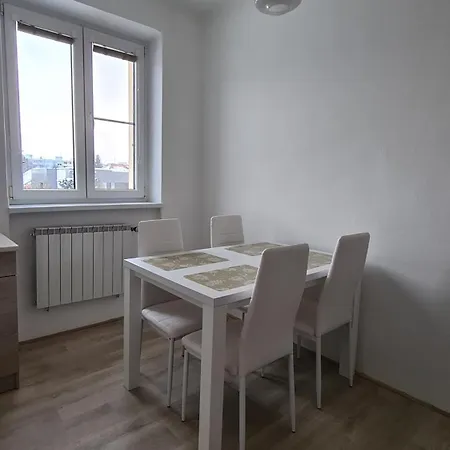 Blizko Centra Apartment *