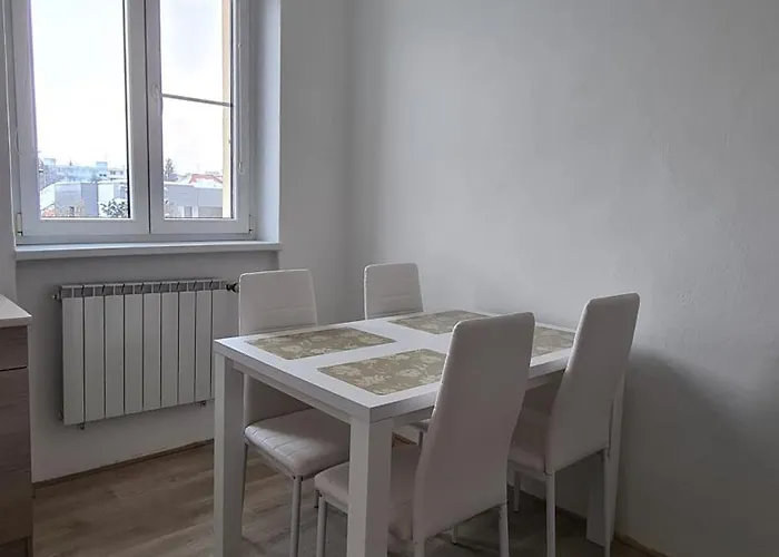 Blizko Centra 아파트 *